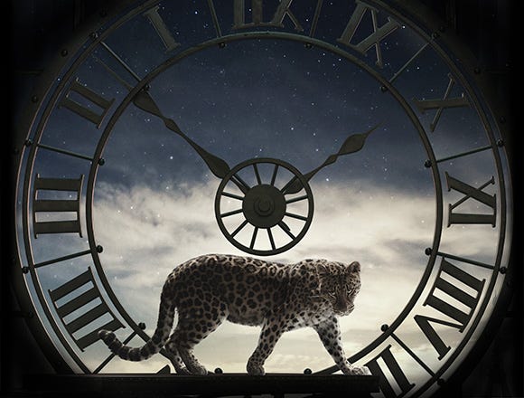 MARKENFOKUS: CARTIER